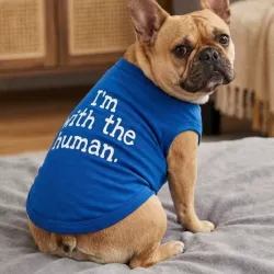 Camiseta para mascotas