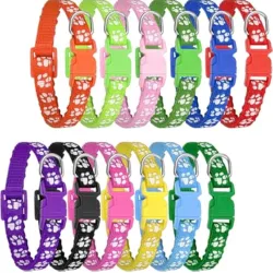 Collares para Perros y Gatos
