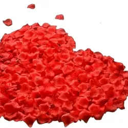 Pétalos Rojos ❤️