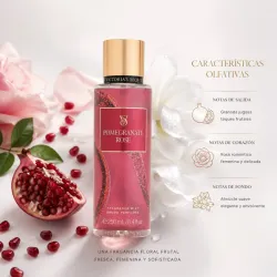 Pomegranate Rose