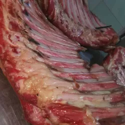 Bacon