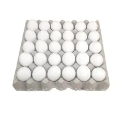 Fill de huevos