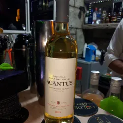 Acantus 