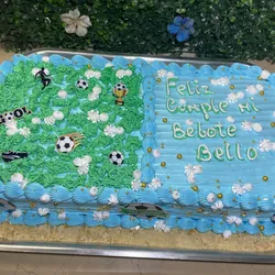 Bandejas personalizadas 