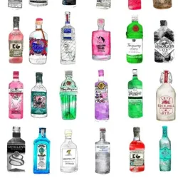 Botella de Ginebra