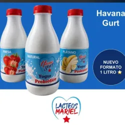 Yogurt probiótico