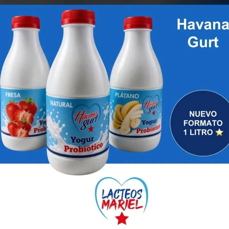 Yogurt probiótico