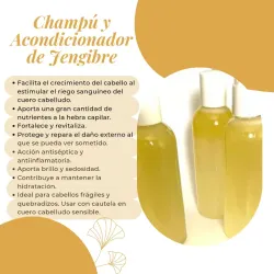 Champú y Acondicionador de Jengibre 💛