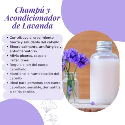 Champú y Acondicionador de Lavanda💜