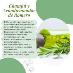 Champú y Acondicionador de Romero💚