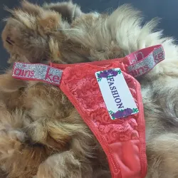 Hilos ķelvin Clains