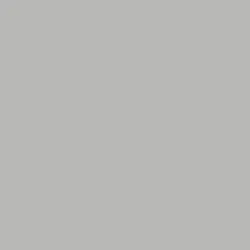 COLOR  # 26 GRIS