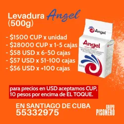 LEVADURA ÁNGEL 500g