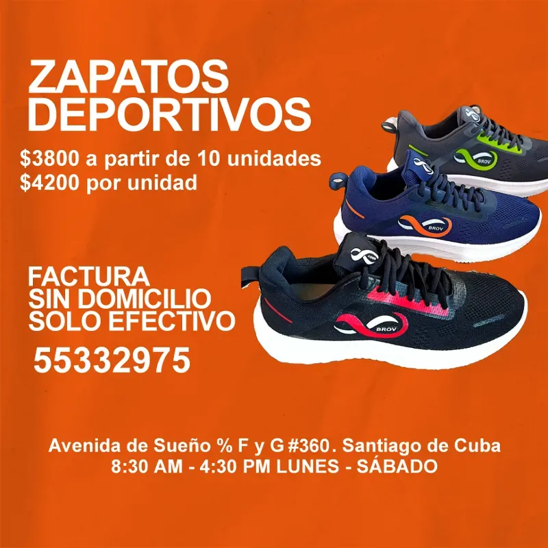Zapatos deportivos 1