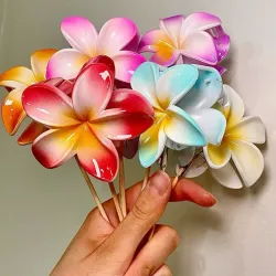 Pellizcos hawaiano grandes
