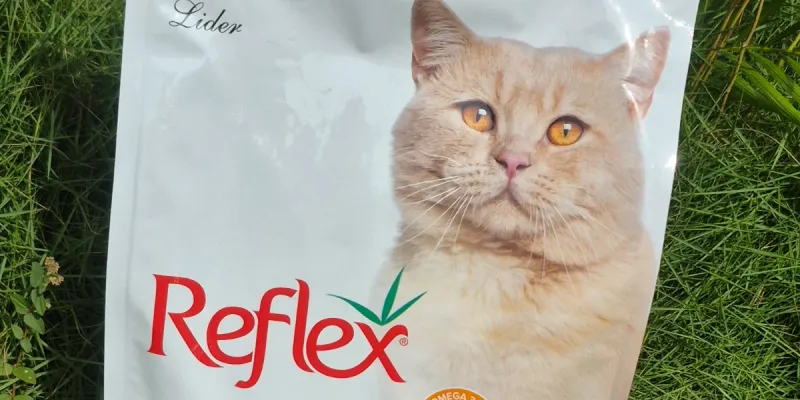 PIENSO PARA GATO😺