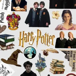 Harry Potter # 4