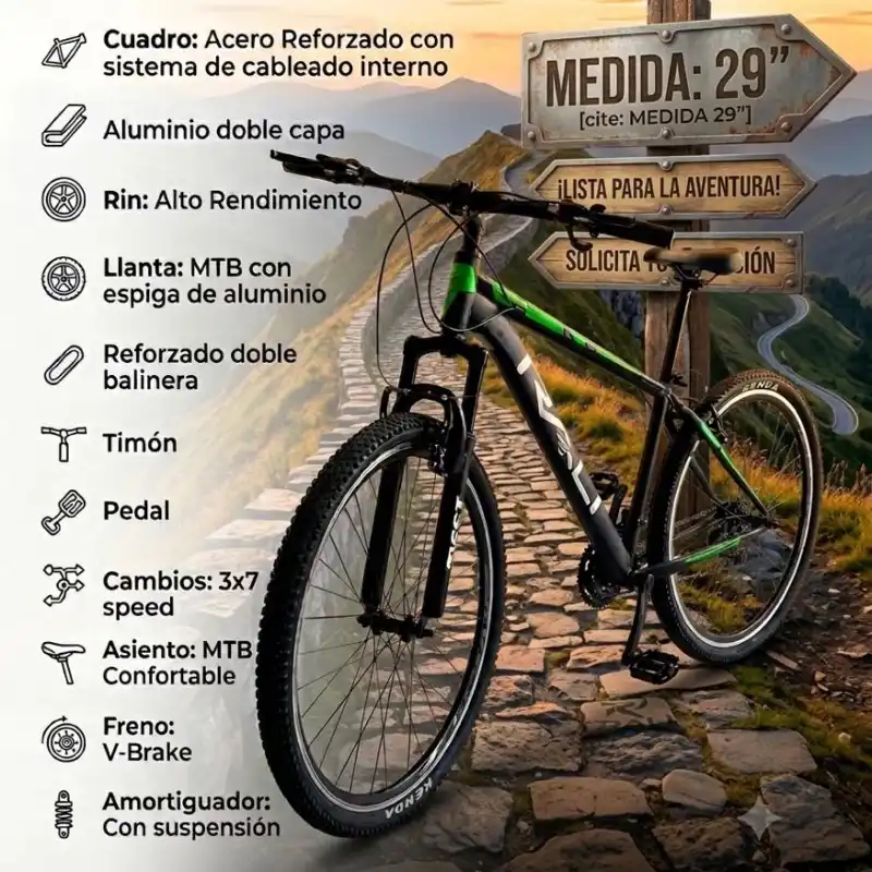Medida 29