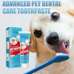KIT DENTAL