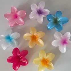 Pellizco Hawaii Pequeño