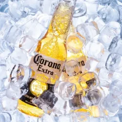 Cerveza Bucanero