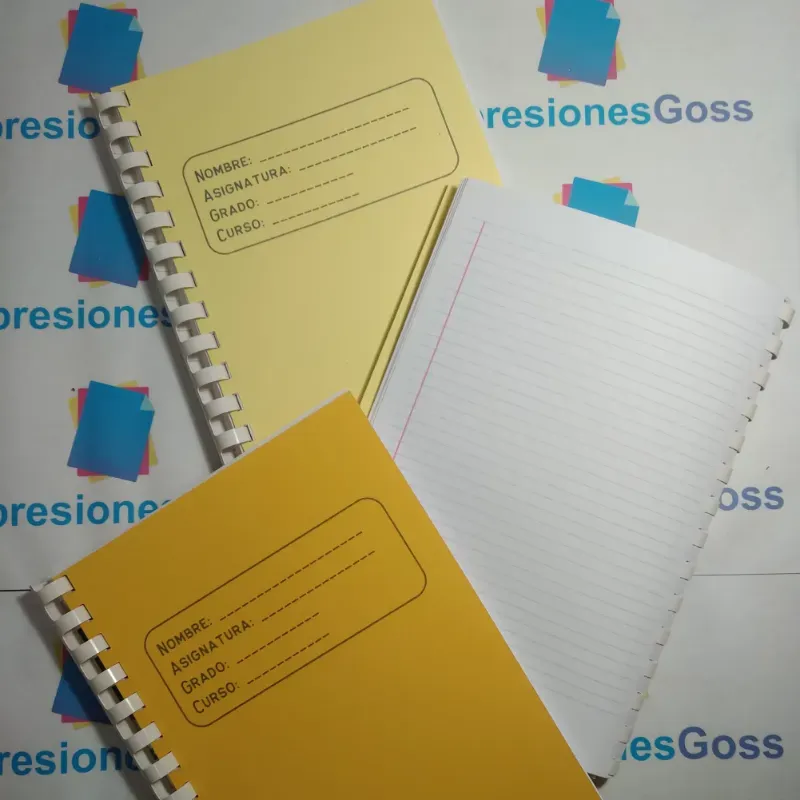 Libretas escolares 