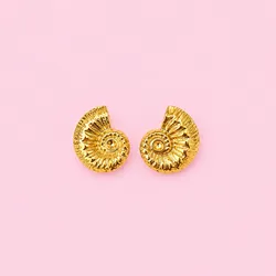 Aretes concha