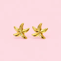 Aretes estrella