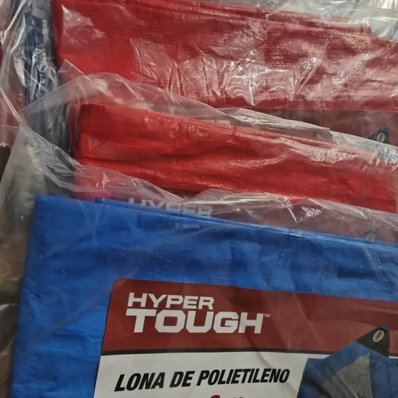 Lonas Polietileno  2x3 m