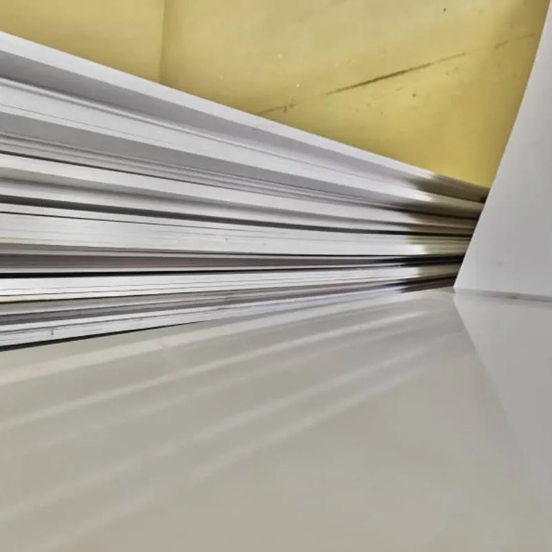 Planchas PVC Blancas 10mm