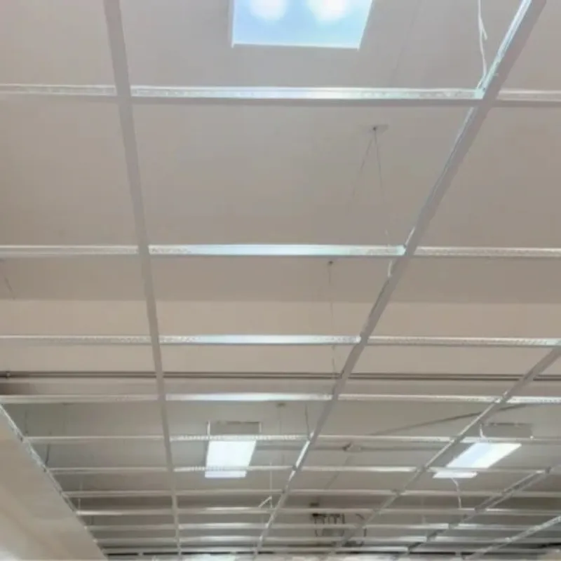Perfiles TEE de Plástico ABS por Unidad (Tira 4m)