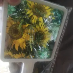 Espejo de mano 