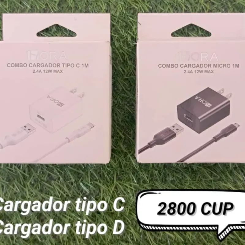 Cargador 12W Tipo D 