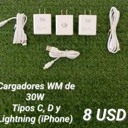 Cargador 30W para iPhone 
