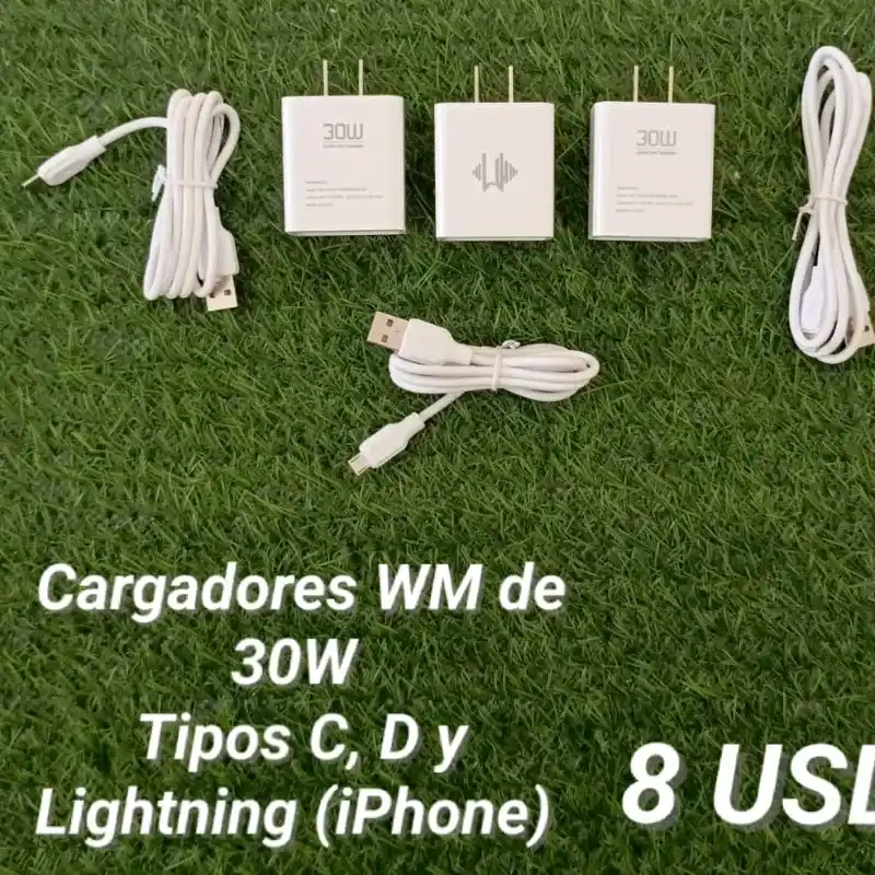 Cargador 30W Tipo C 