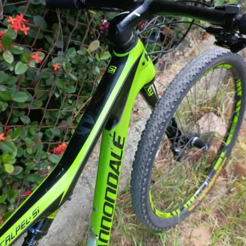 CANNONDALE 💯