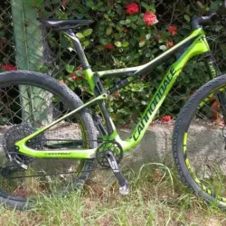 CANNONDALE 💯