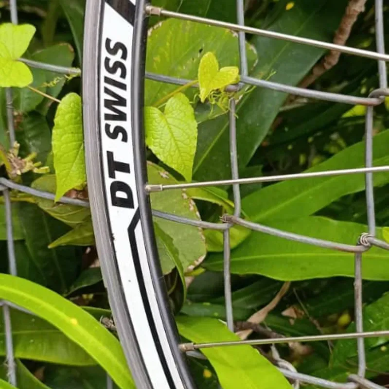 Ruedas de carretera Dtsiws