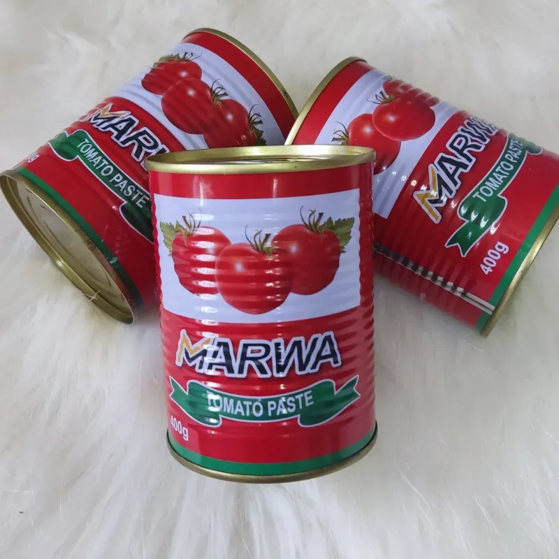 Pasta de Tomate Marwa