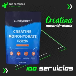Creatina Monohidratada 100 servicios