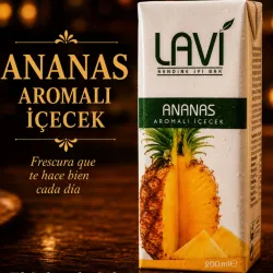 Jugo piña 200ml