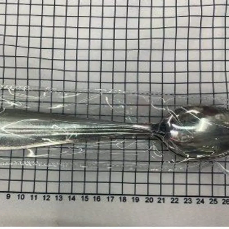 Cuchara； 238g; 21cm，6pc/opp