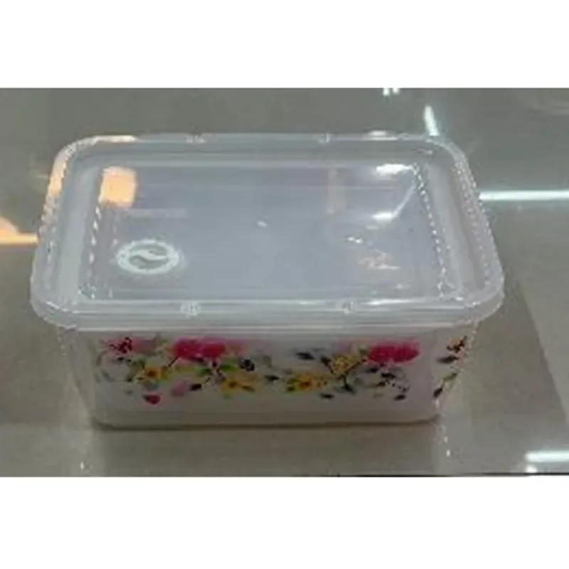  set de 5 pozuelos plasticos rectangulares con  tapa de transparente,  25x19x11cm, 440g