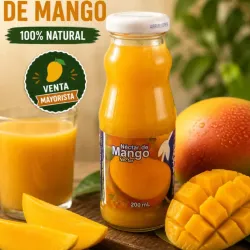 Nectar de Mango 200ml