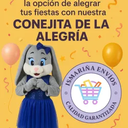 Conejita de la Alegría