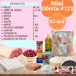 Mini Combo 113