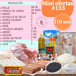 Mini Oferta 133