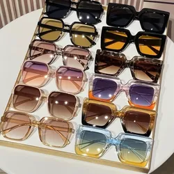 Pack 12 Gafas