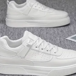 Tenis