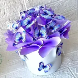 Caja con mariposas 🦋 